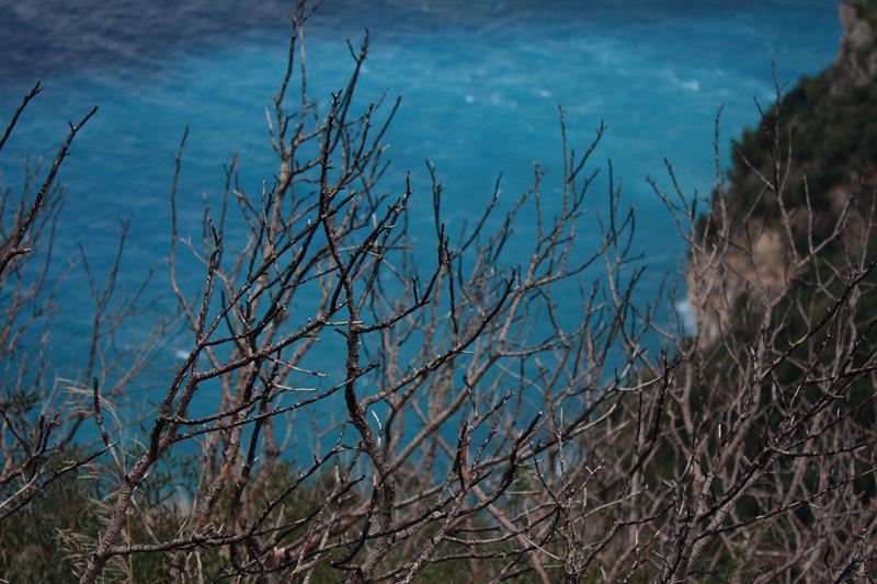 73-Per Positano,31 gennaio 2010.jpg